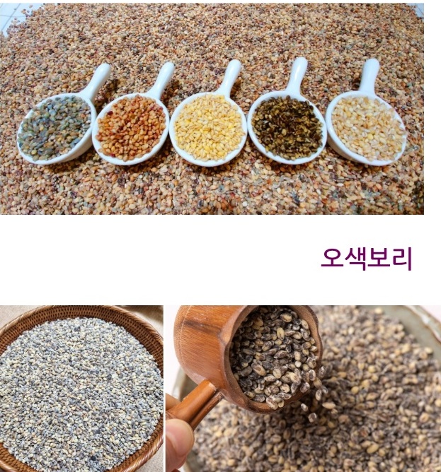 -파주-보리굴림만두-프레시하우스