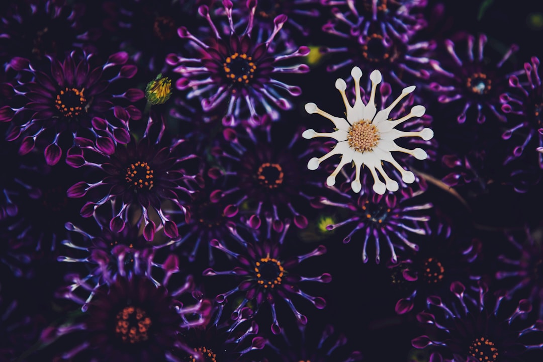 Seizure