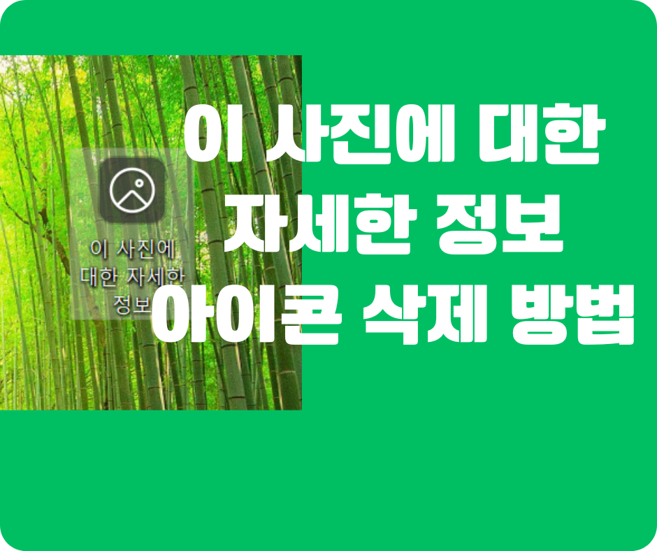 이 사진에 대한 자세한 정보 아이콘 삭제 방법