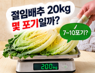 2026 절임배추 사전예약 20kg 가격 비교와 예약 시기&amp;#44; 김장 준비 방법 총정리 