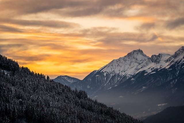 임산부지원정책