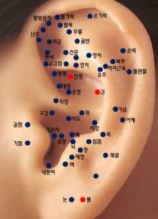 귀 혈자리 위치 지압법