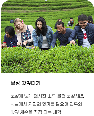 2025 보성 다향대축제 라인업, 2025 보성다향대축제 가수, 2025 보성다향대축제 기본정보