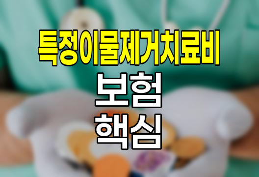 메리츠화재 특정이물제거치료비 보험 핵심 정보