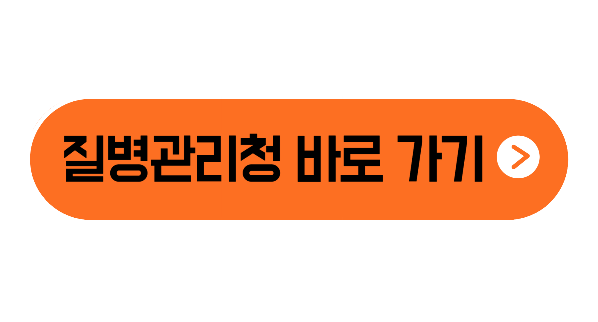 충북 충주 빈대 발견 퇴치법 질병관리청