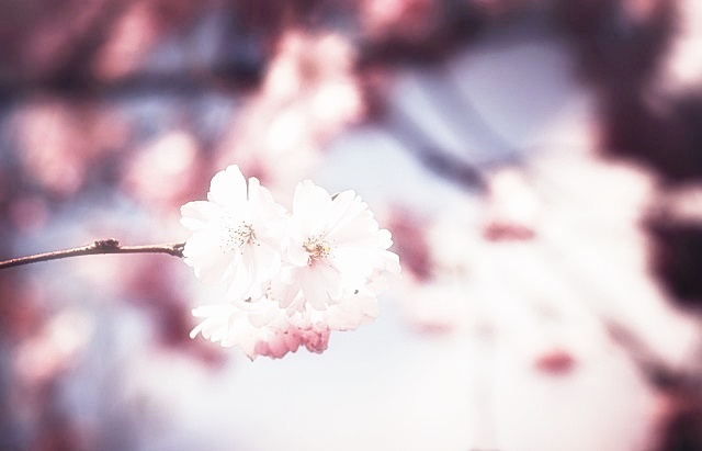 건축물대장 발급방법