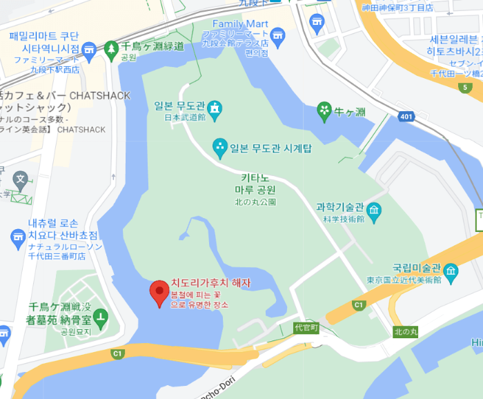 치도리가후치위치4