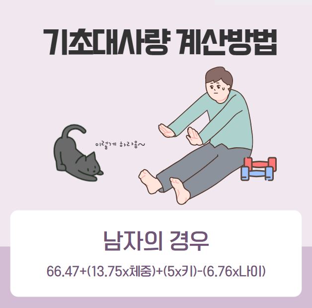 기초대사량 계산기
