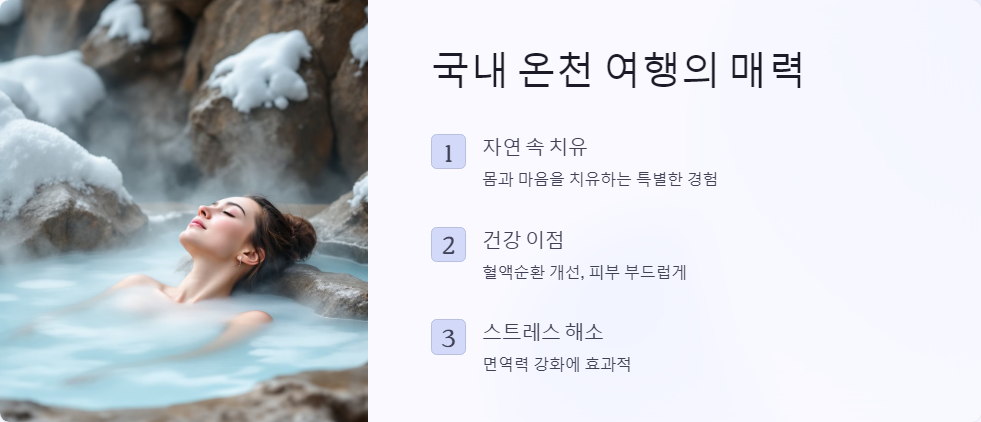 국내여행