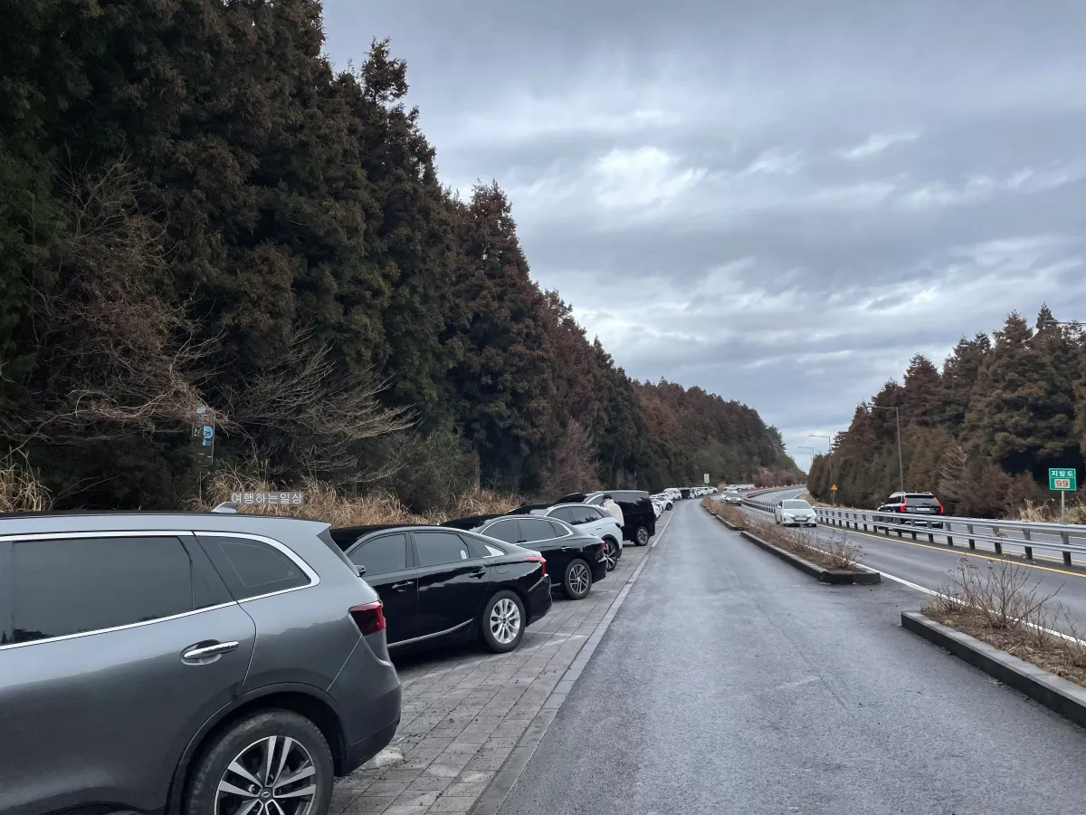 비오는날-제주-겨울에-가볼만한곳-사려니숲-무장애나눔길-위치-산책로-소요시간
