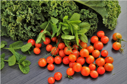 과거 사람들의 면역력 관리법 (현대보다 강했던 이유?)