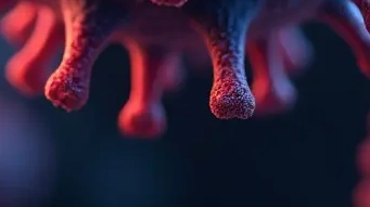 바이러스