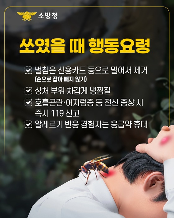 태양보다 뜨거운 위험 벌쏘임 경보 - 여름철 벌 쏘임 안전 수칙 알아두기