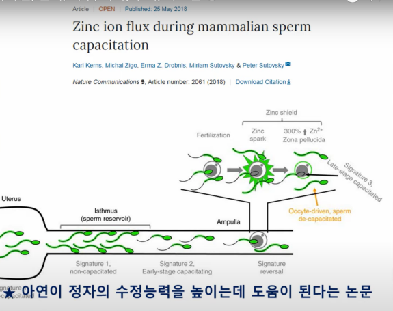 아연7