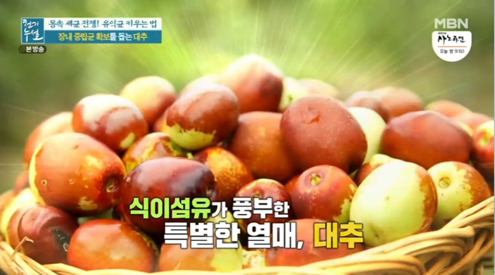 대추 사과대추 효능 대추차 생대추 건대추 고르는법 칼로리 보관법