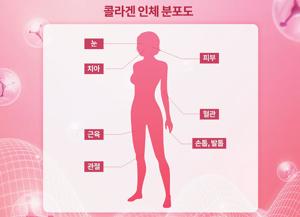 분말 콜라겐