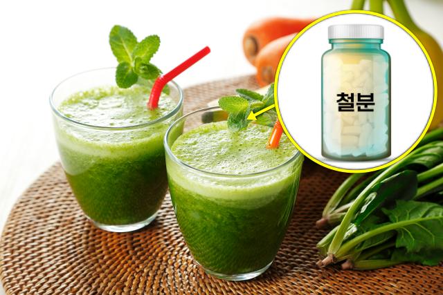 입병에 좋은 영양제 음식 철분