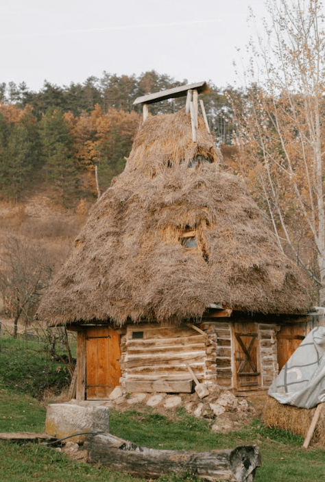 느림의 미학, 불완전한 오늘을 사랑하는 법