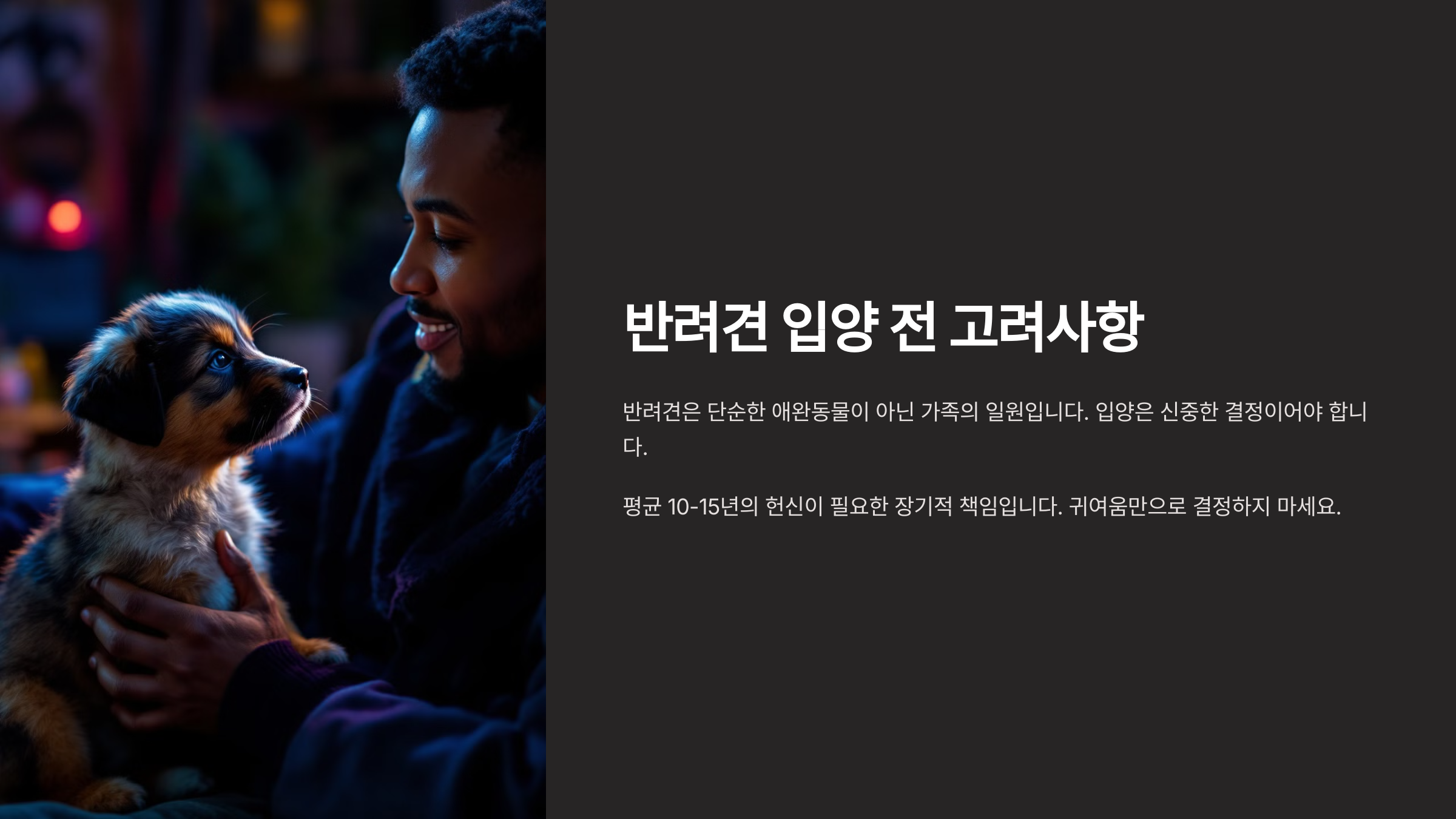 반려견 키우기 완벽한 초보 가이드