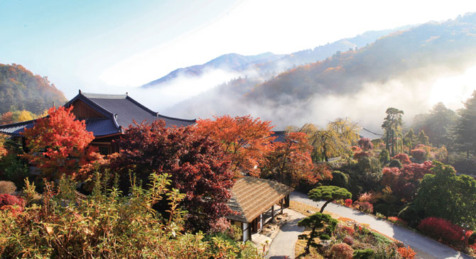 2024 국내 단풍여행지 가을 단풍 명소 설악산 단풍 시기 내장산 가을 여행 지리산 단풍 절정 한라산 단풍 등산로 경기도 단풍 여행 아침고요수목원 가을 가을 여행 추천지 가을 단풍 절경