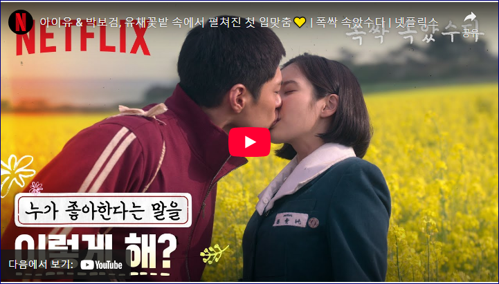 폭싹 속았수다 유채꽃밭