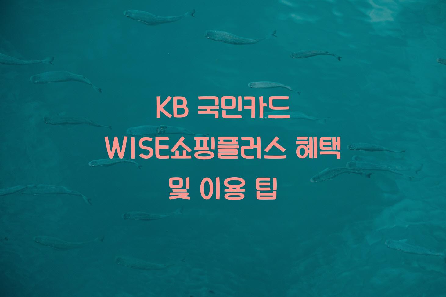 WISE쇼핑플러스