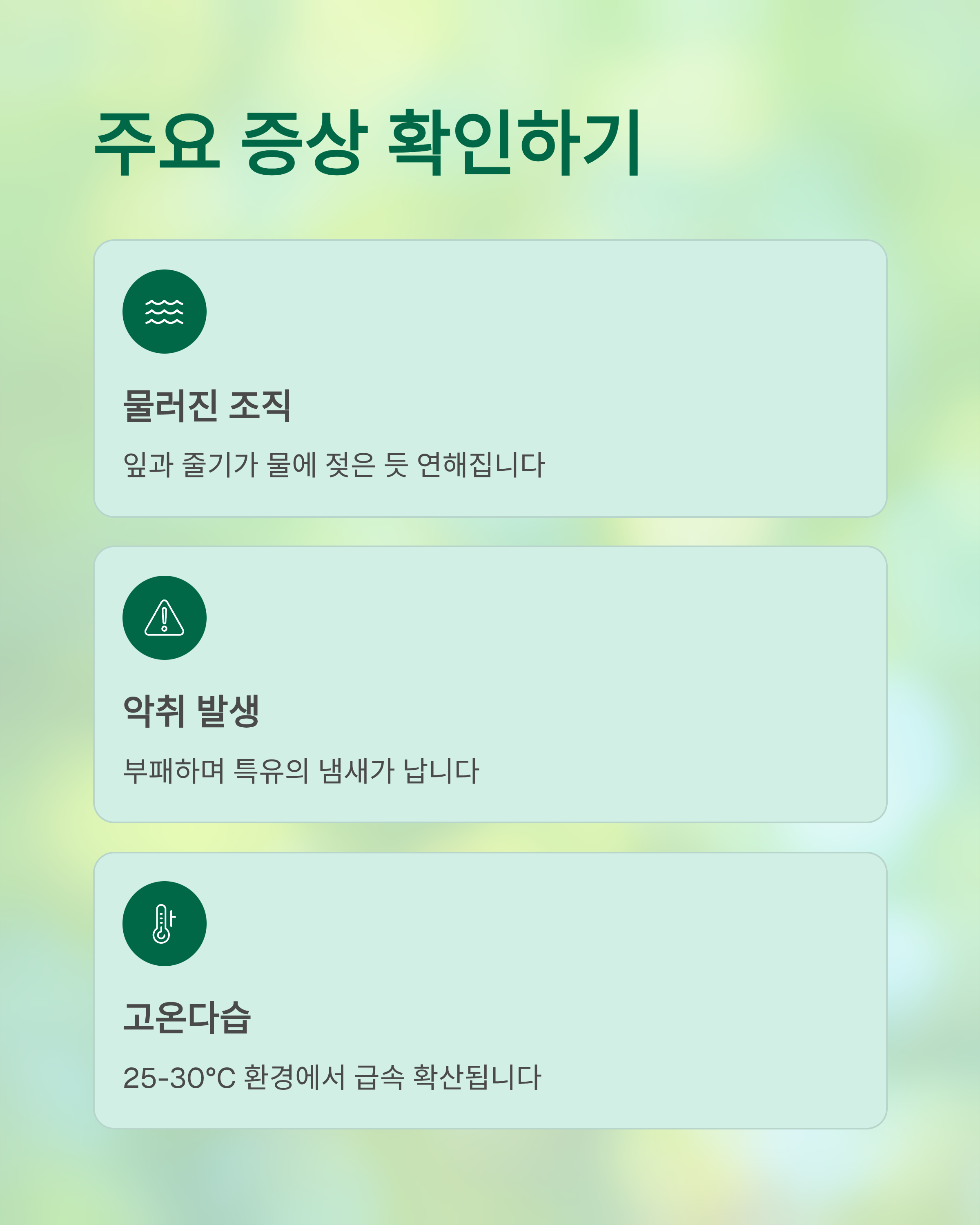 배추 무름병