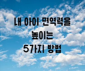 면역력을 높이는 5가지 방법