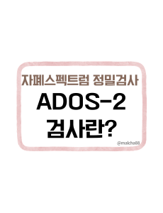 ADOS2검사란