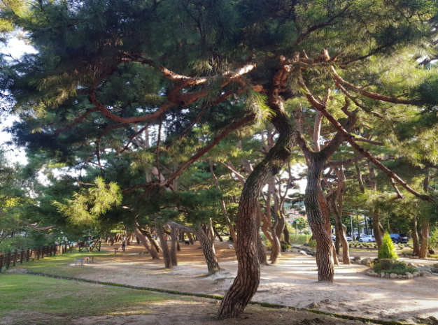 &amp;lt;동네한바퀴&amp;gt; 제천 의림지&amp;#44; 제천중앙시장&amp;#44; 내토전통시장&amp;#44; 한국차문화박물관&amp;#44; 교동민화마을 정보