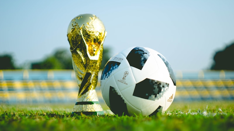 FIFA 월드컵 중계권 수익 구조