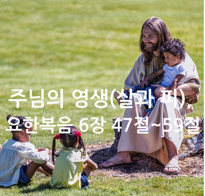 주님의 영생(살과 피), 요한복음 6장 47절~59절