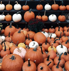 단호박 효능 부작용 영양성분 고르는법 칼로리