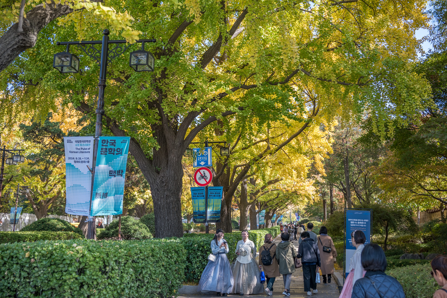 은행 단풍 맛집 경복궁 돌담길