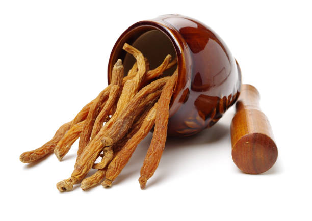 고려홍삼과 중국홍삼의 차이점