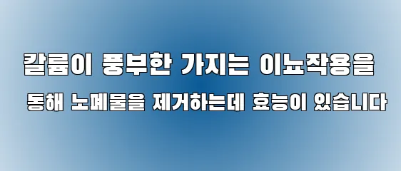  칼륨이 풍부한 가지는 이뇨작용을 통해 노폐물을 제거하는데 효능이 있습니다