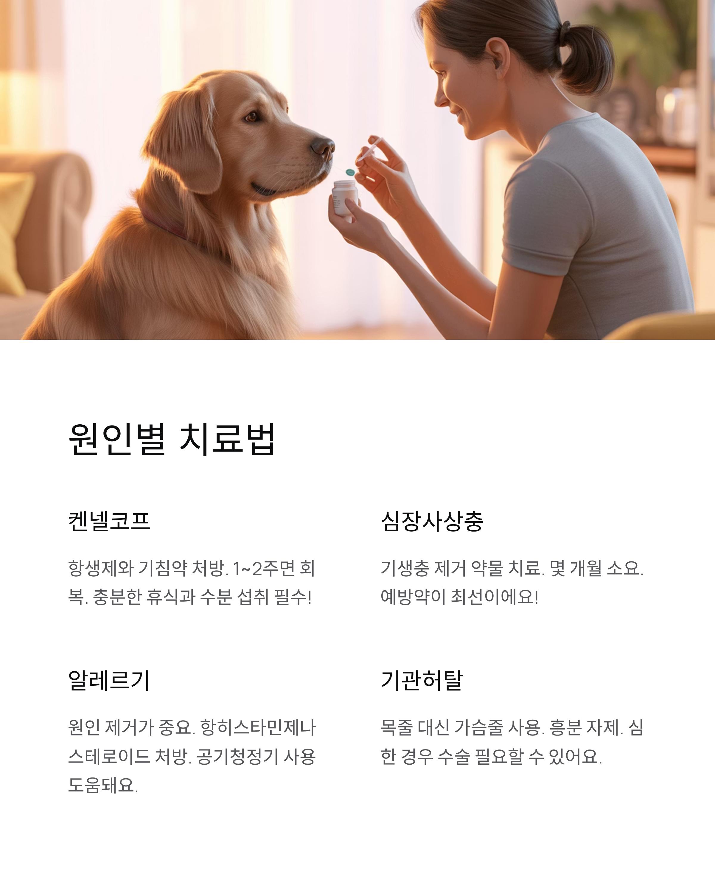 강아지 기침 원인·증상·치료법 총정리! 병원 가야 할 때는?