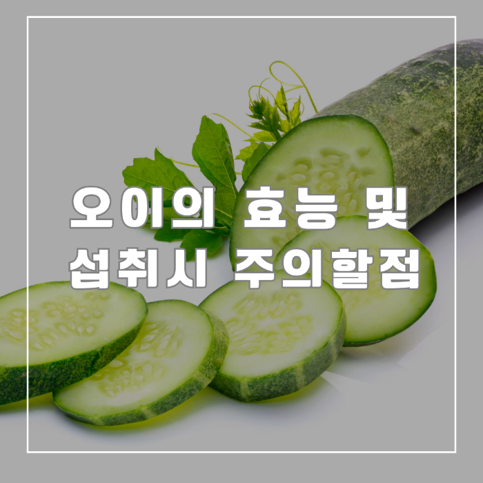 오이의 효능