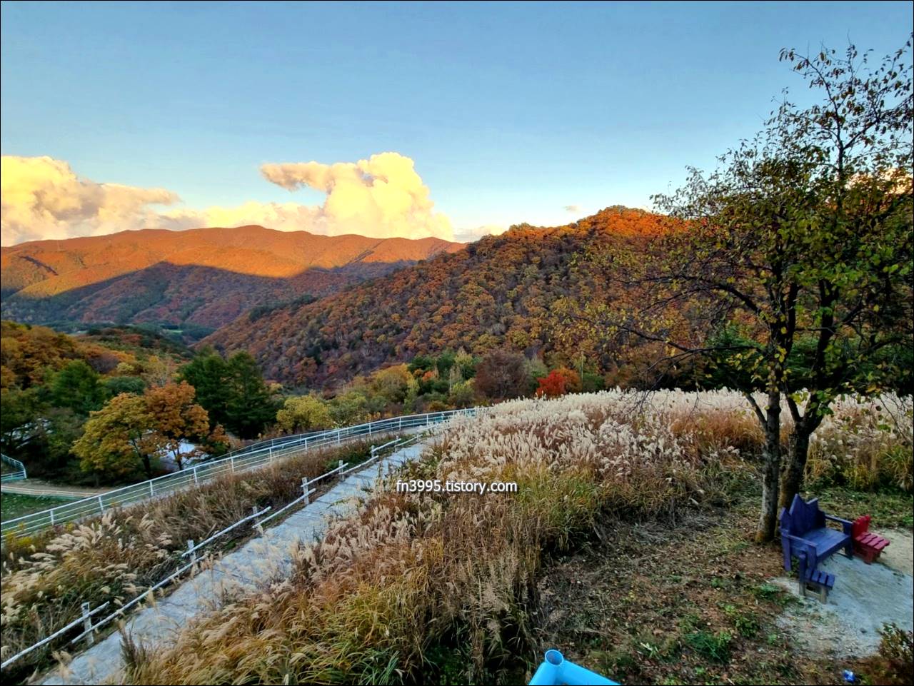 모나 용평 리조트