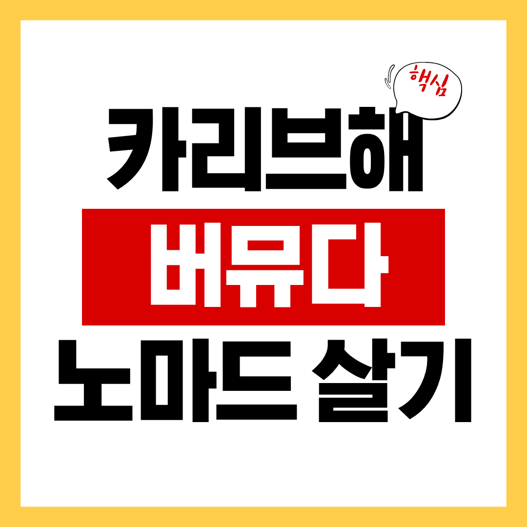 카리브해 지역(바베이도스·버뮤다·앤티가)의 노마드 비자