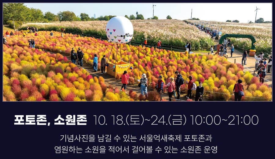 🌾 2025 서울억새축제 완벽 가이드