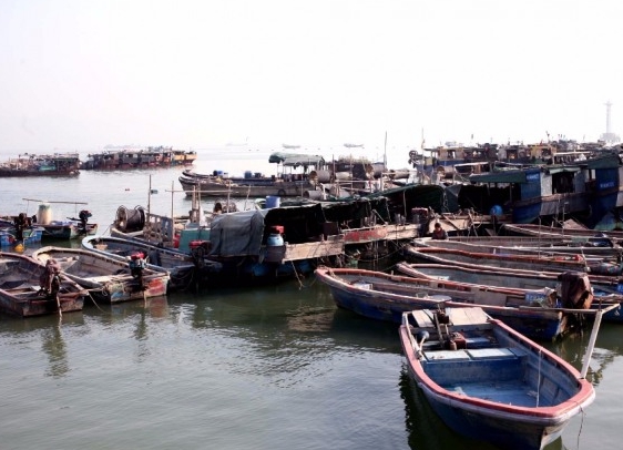 어업인 재해보험