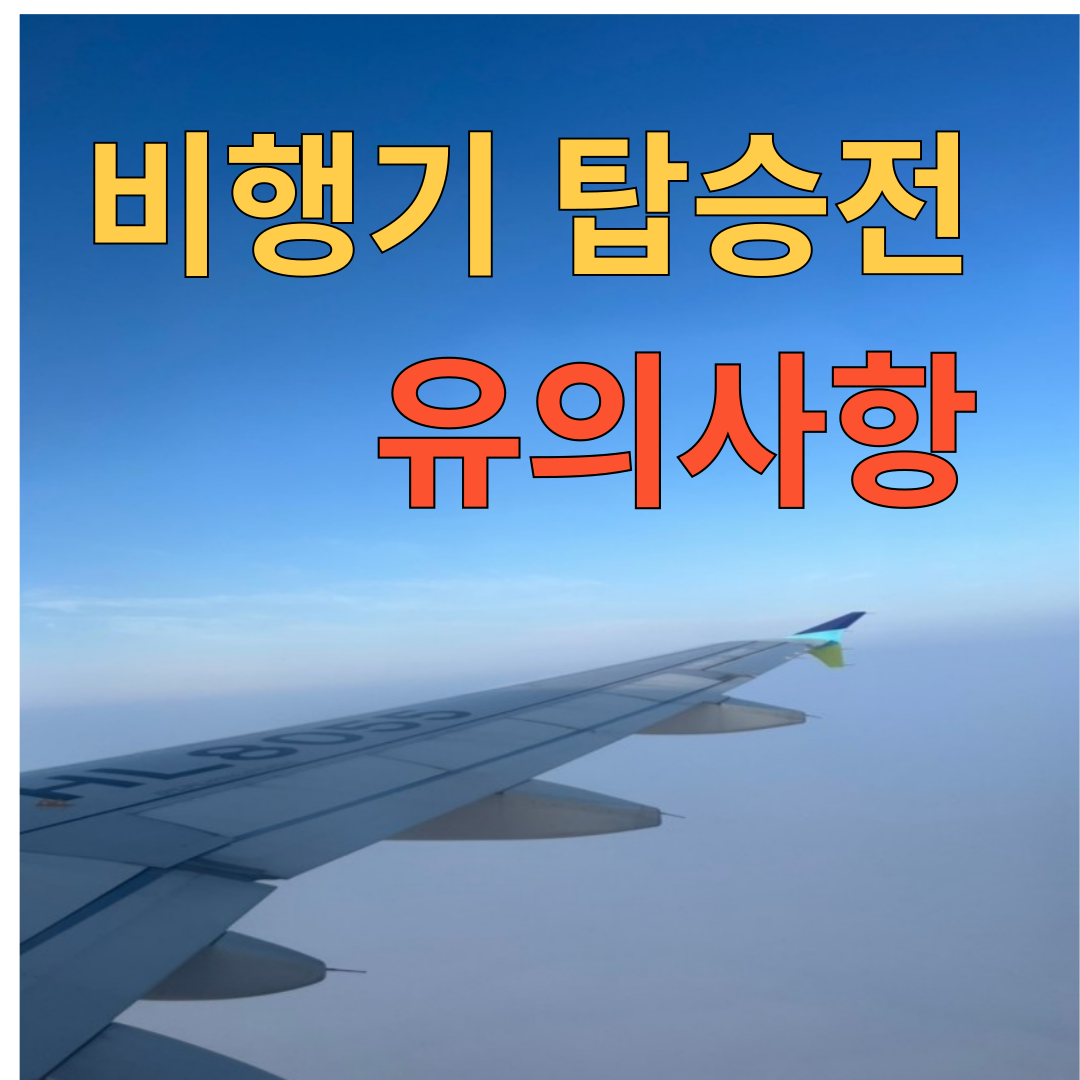 비행기 탑승전 유의사항