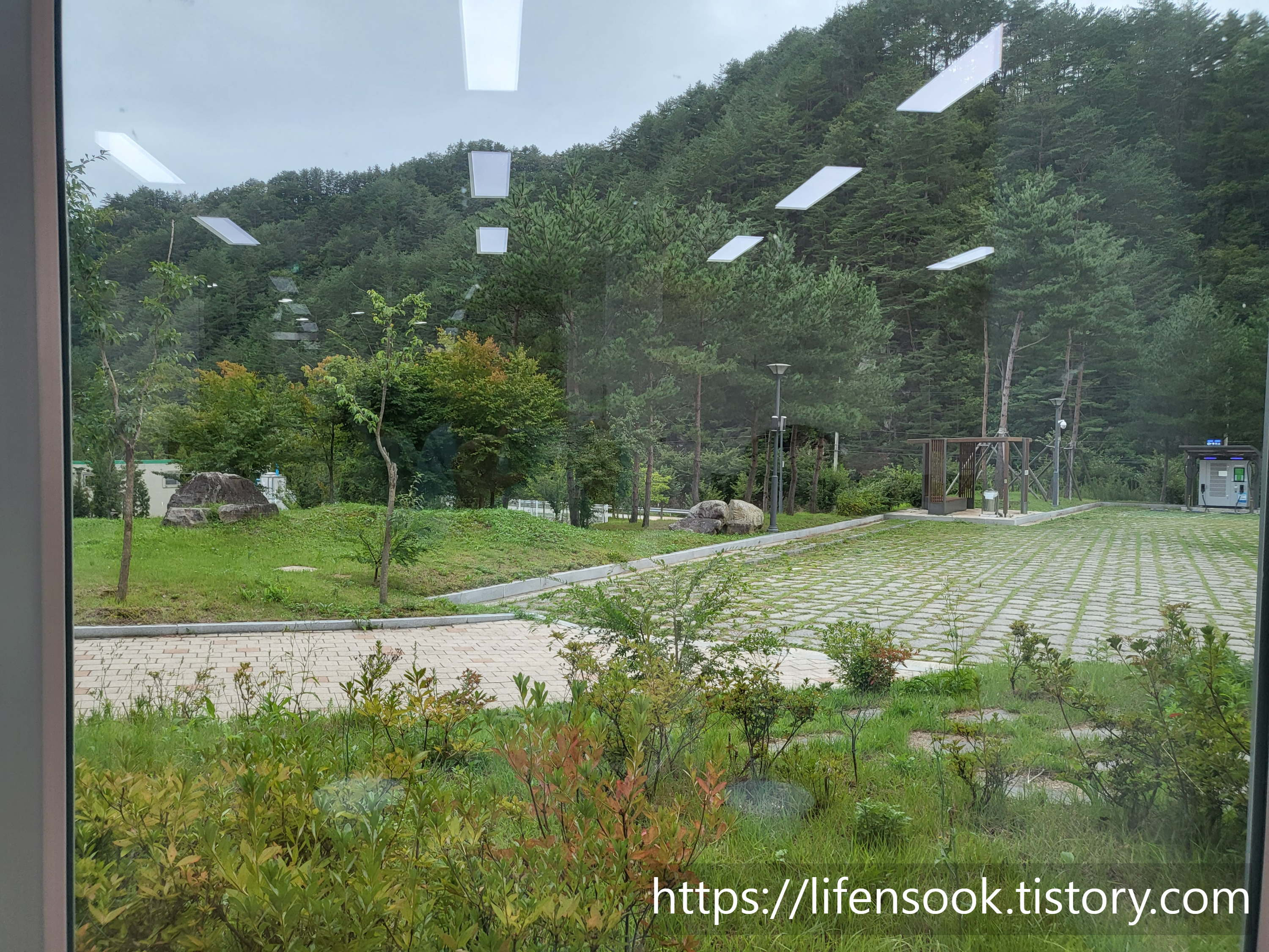 금강송 에코리움 식당 뷰