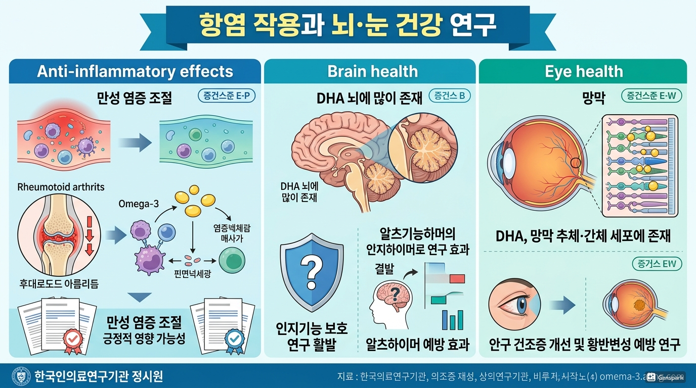 항염 작용과 뇌&middot;눈 건강 연구