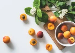 간헐적 단식 부작용 총정리: 저혈당&middot;불면&middot;근손실 주의사항