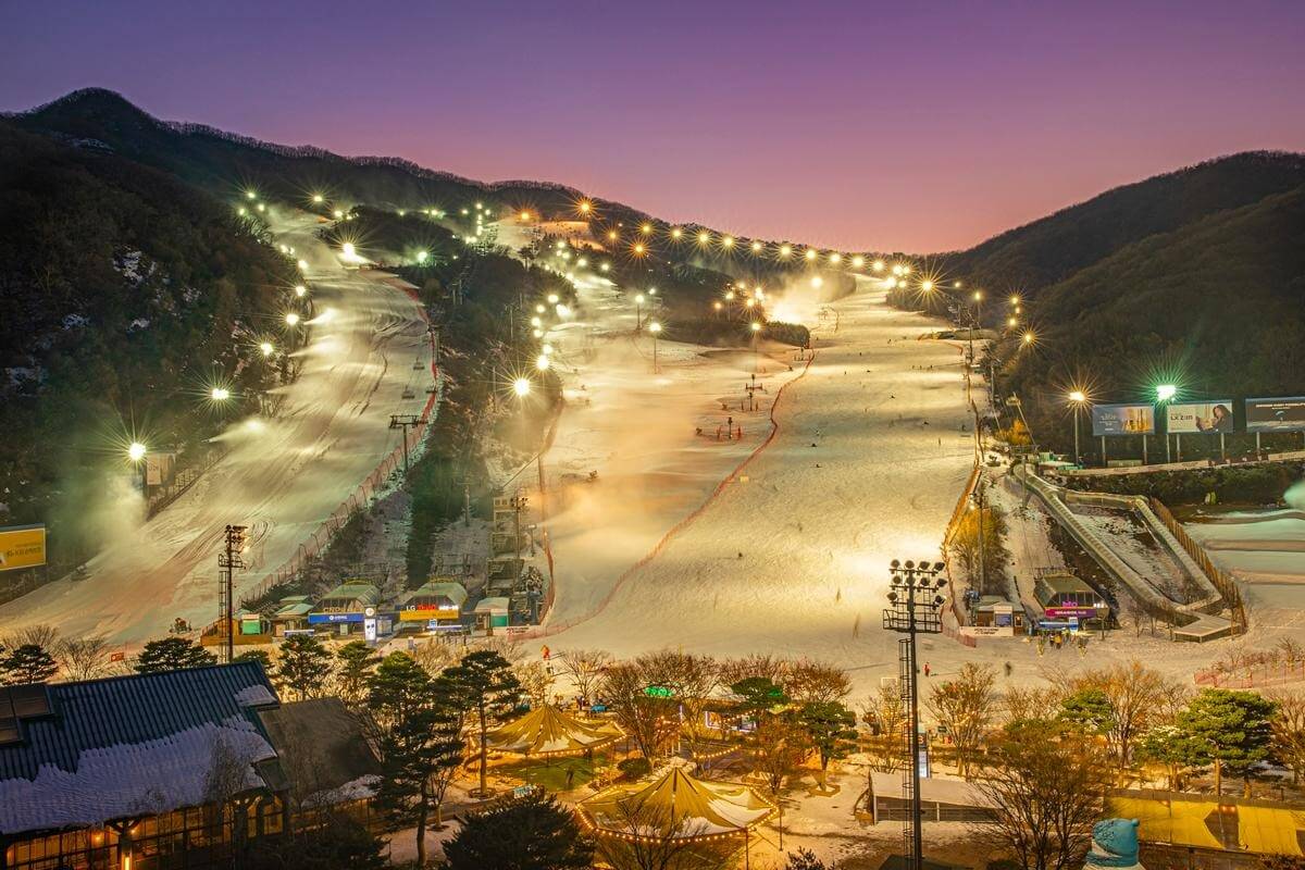 2025-2026 곤지암 리조트 스키장 시즌권 렌탈 할인 완벽 가이드 
