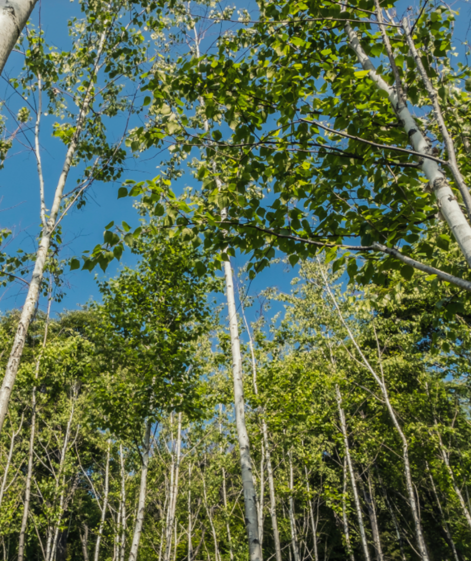 화담숲예약방법