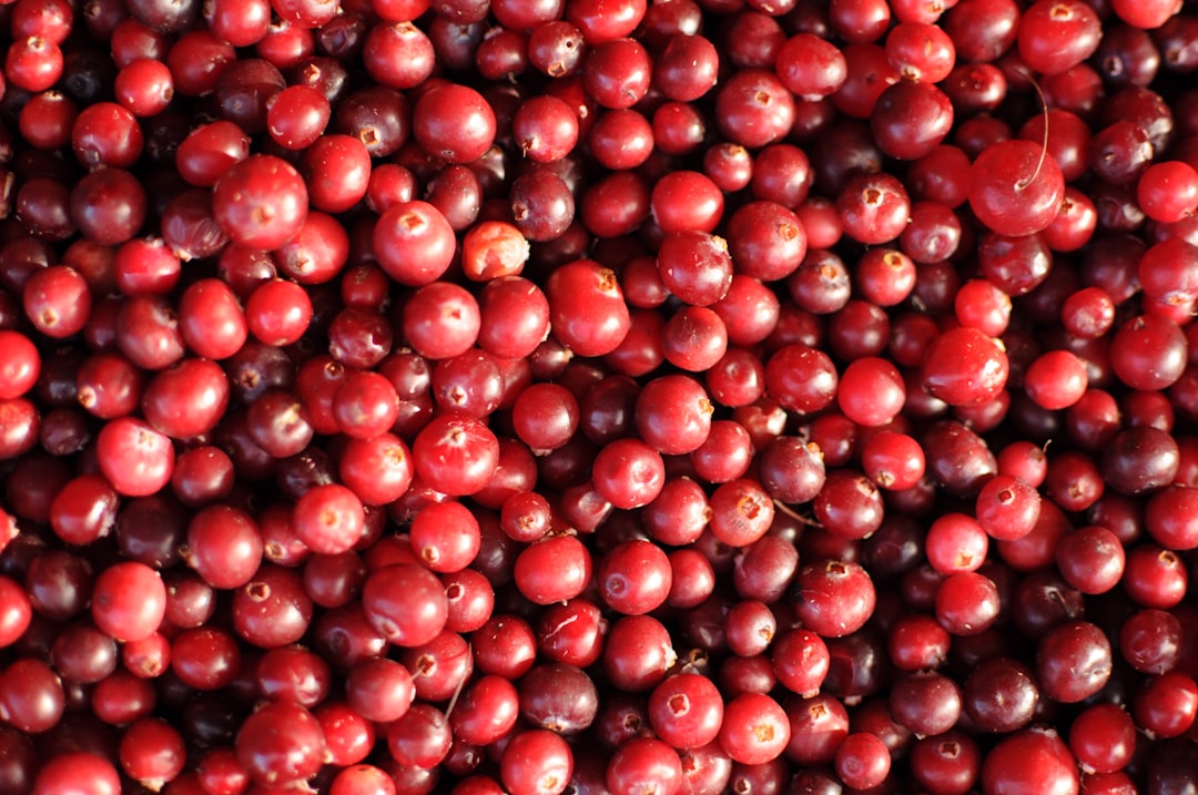 Cranberry