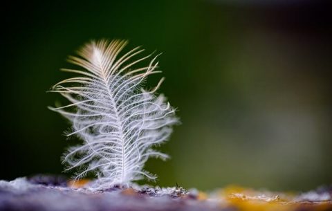 공기청정기-추천-21